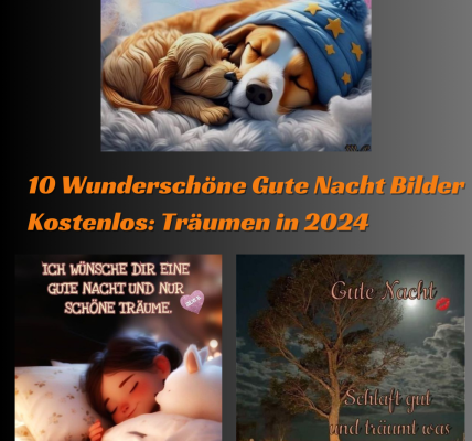 10 Wunderschöne Gute Nacht Bilder Kostenlos Träumen in 2024