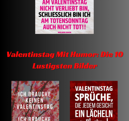 Valentinstag Mit Humor Die 10 Lustigsten Bilder