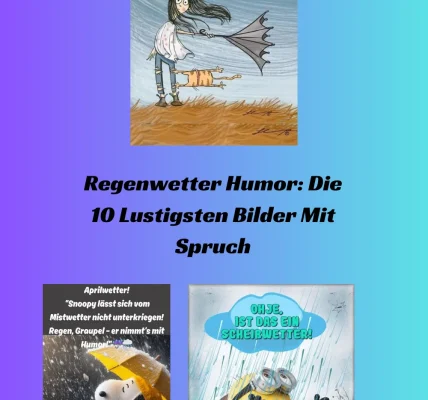 Regenwetter Humor Die 10 Lustigsten Bilder Mit Spruch