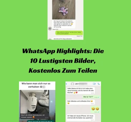 WhatsApp Highlights Die 10 Lustigsten Bilder, Kostenlos Zum Teilen