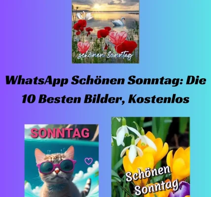 WhatsApp Schönen Sonntag: Die 10 Besten Bilder, Kostenlos